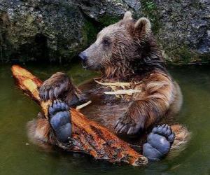 пазл Медведь в воде